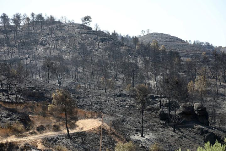 Incendios afectaron más de 61 mil hectáreas