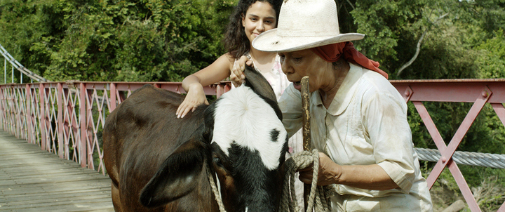 Proyectan 'Dos Mujeres y una Vaca' en la Cineteca Municipal