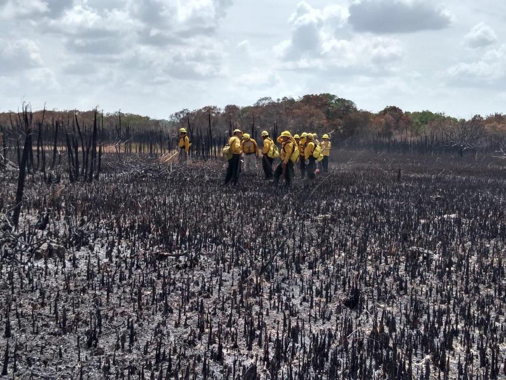 Controlan 55% del incendio en reserva de Quintana Roo