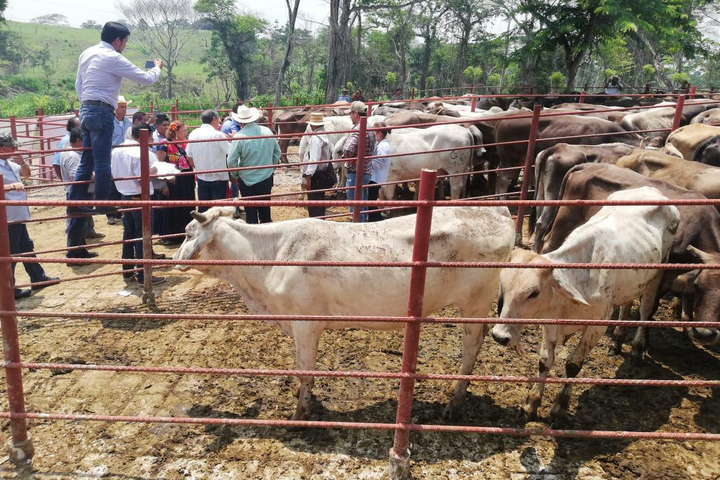 Baja, expectativa sobre créditos