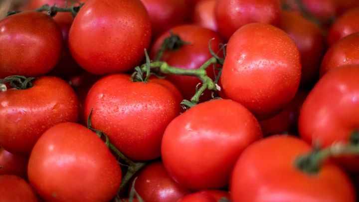 EU pretende subir arancel al tomate