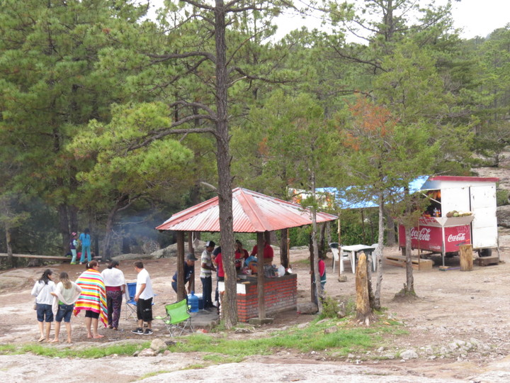 Contaminan con basura el bosque