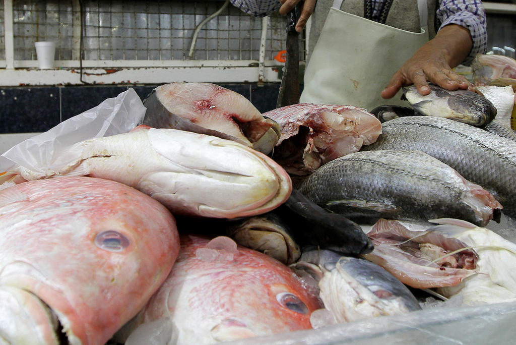 Crisis climática aumenta un tipo de mercurio dañino en pescados