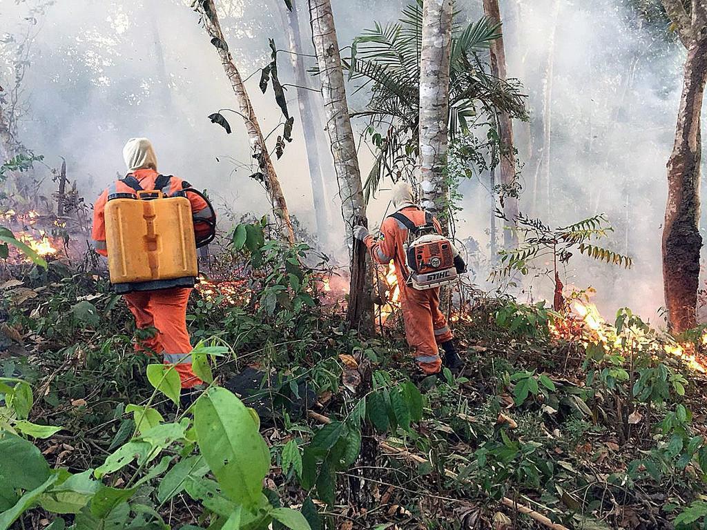 Confirma Chile ofrecimiento de ayuda a Brasil por incendios en el Amazonas