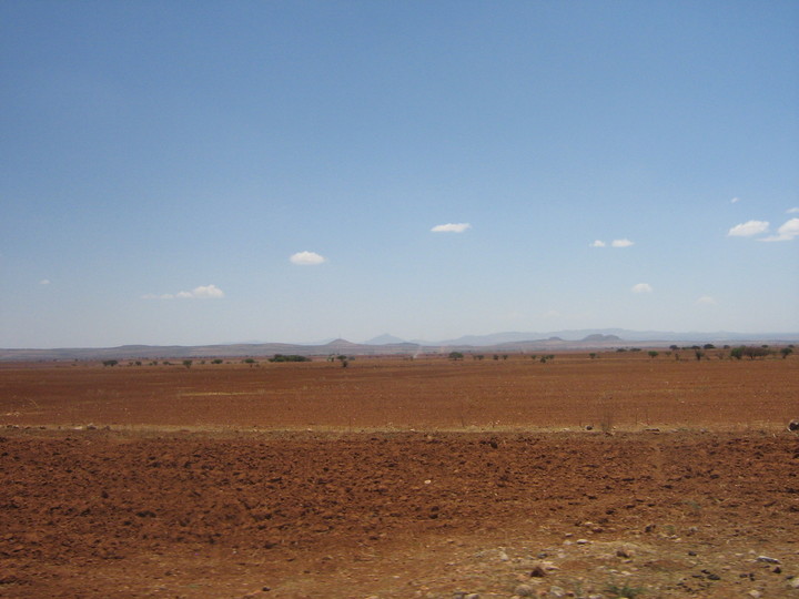 'Boletos pudieron darse de apoyo contra sequía'