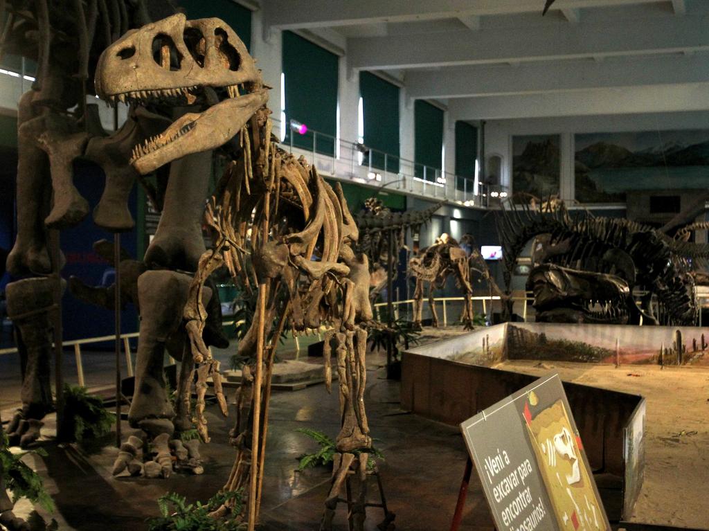 La potencia en paleontología de dinosaurios que batalla por sobrevivir