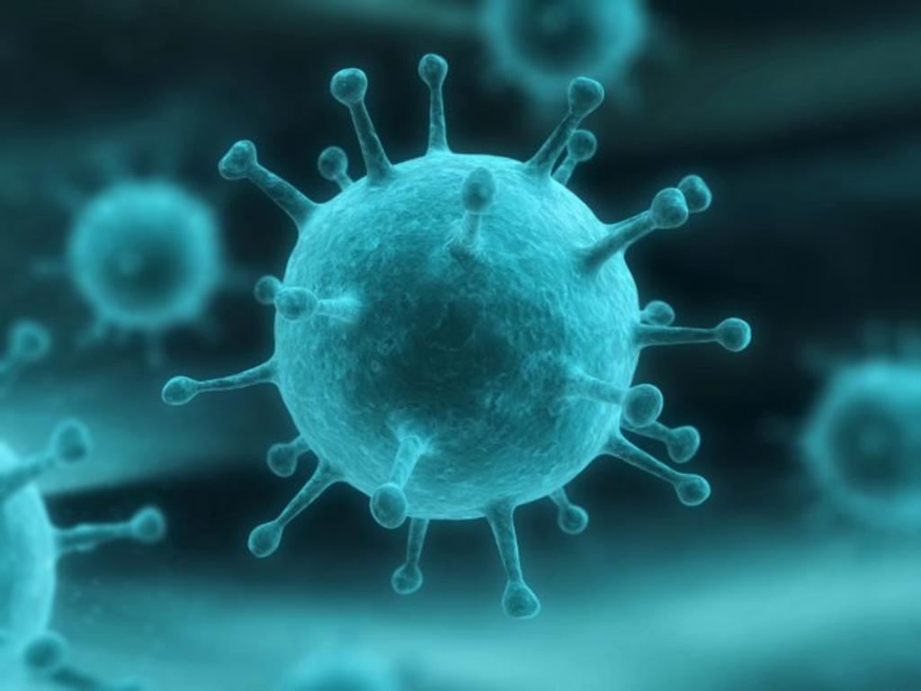 Dos proteínas favorecen a los virus al inhibir la respuesta inmune innata