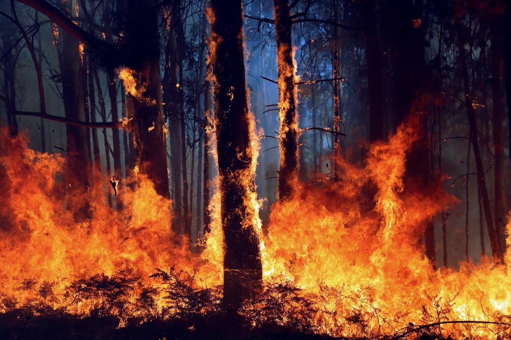 Arrasa Incendio con más de mil hectáreas de bosque en Ecuador