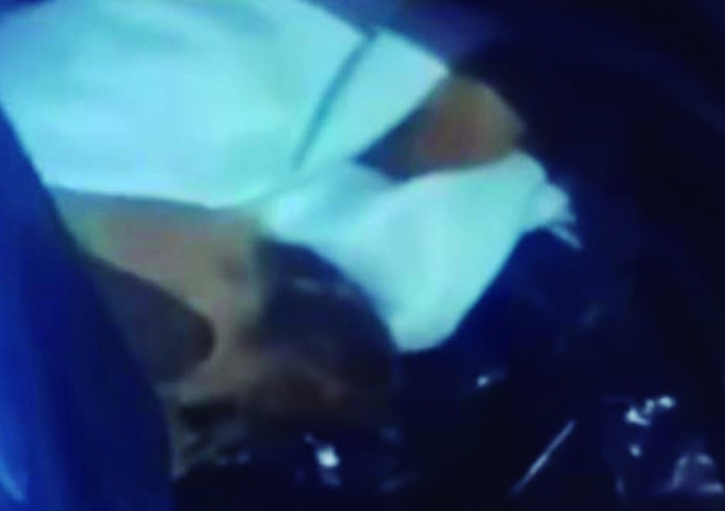 Vendía tortas de 'milanesa' y descubren que es carne de perro