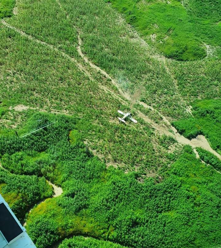 Cinco lesionados en desplome de avioneta en Tamazula