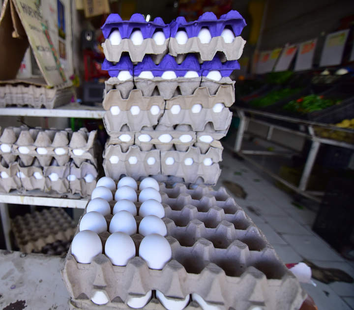 Durango reporta cerca de las 40 mil toneladas de huevo