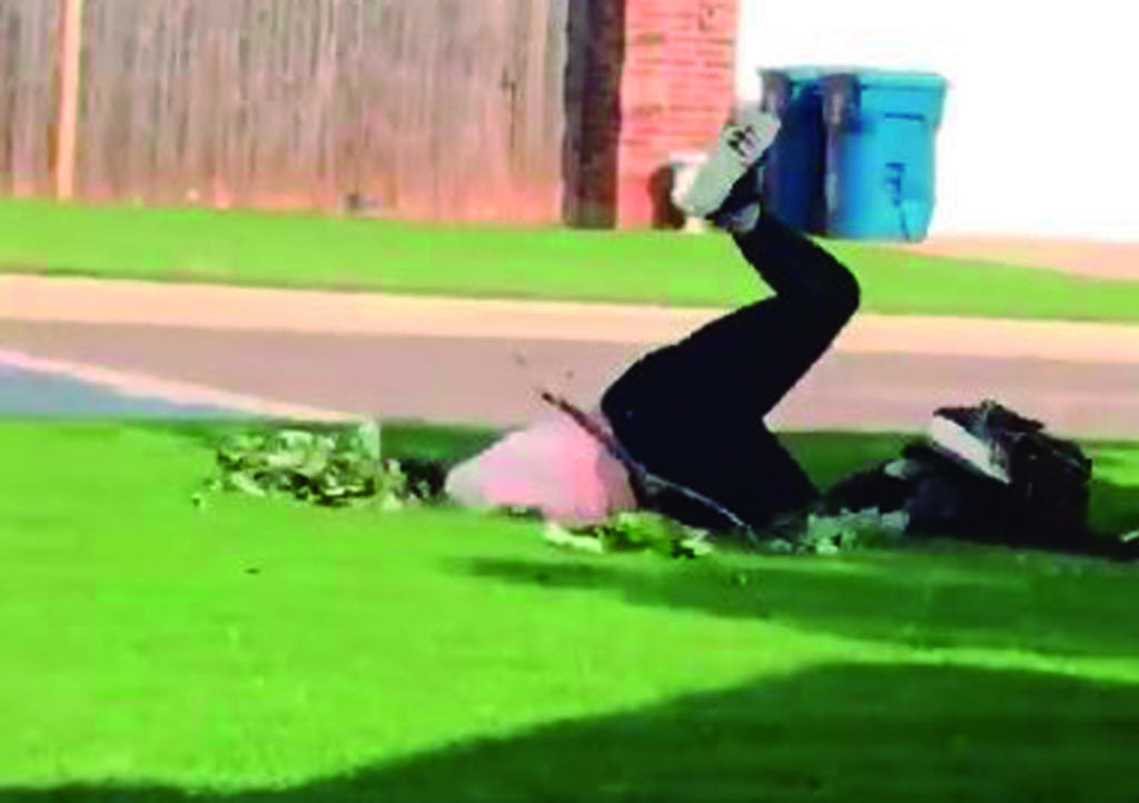 VIRAL: Intentaba romper rama y sufre cómico accidente