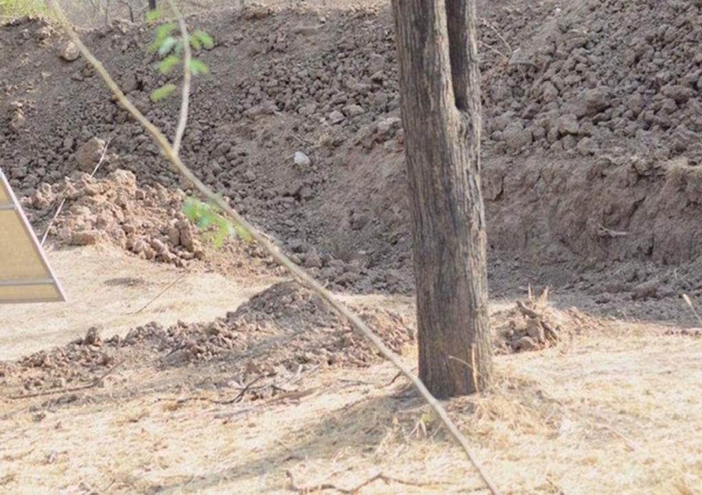 Imagen del camuflaje de un leopardo se hace viral