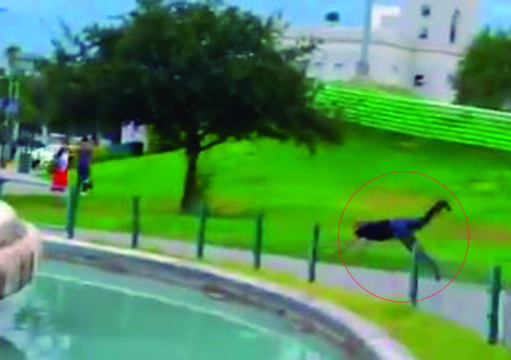 VIRAL: Corre como 'perro' en Exponiendo Infieles