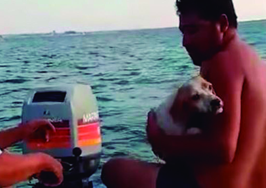 VIDEO: Pescadores rescatan a perrito mar adentro