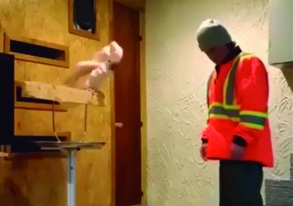 Discusión entre guacamaya y su dueño se hace viral