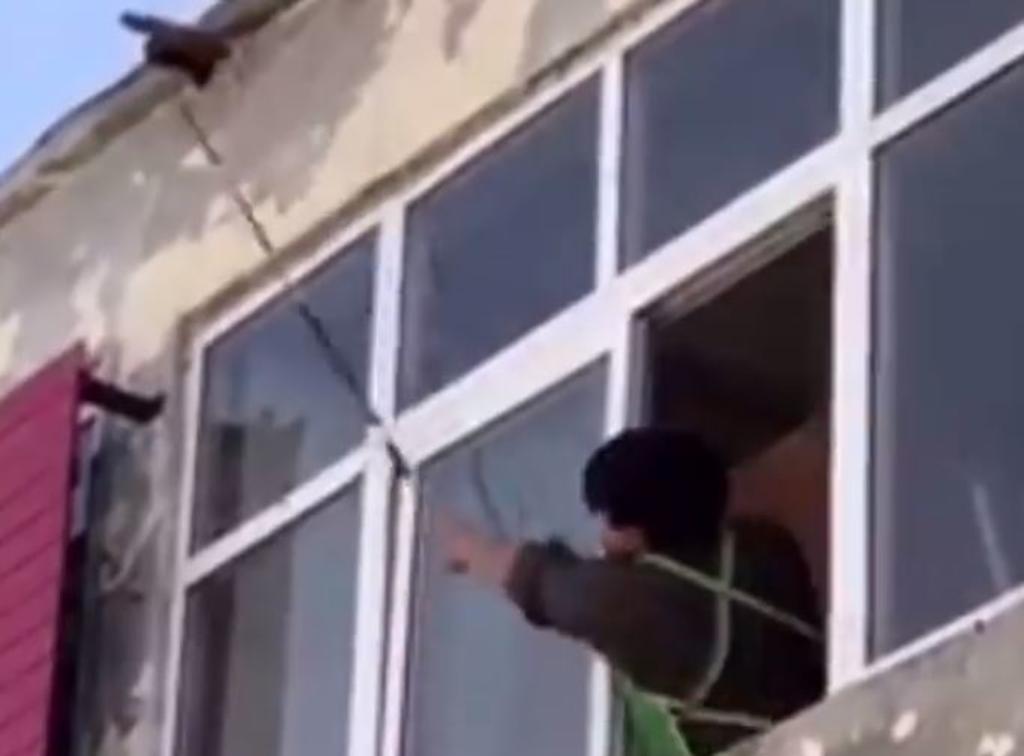 VIRAL: Las tragedias de niño al intentar quitar panal de avispas