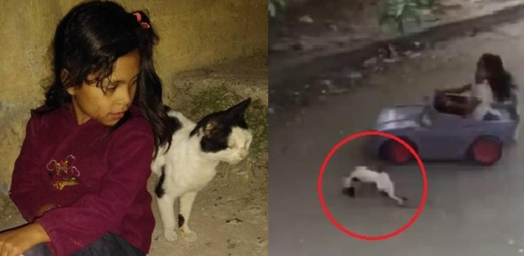 VIRAL: Dafne, la niña que atropelló al gato