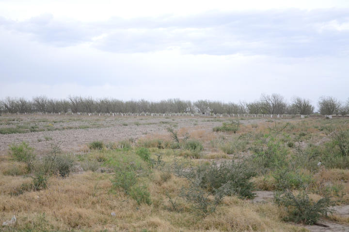 Piden apoyo emergente por sequía