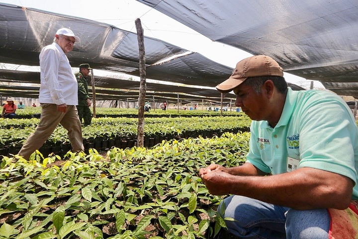 Inicia Sembrando Vida en V. Guerrero