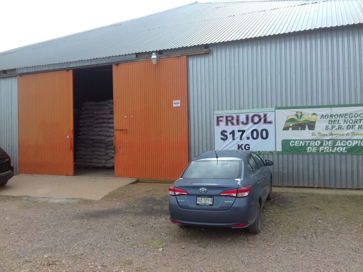 'Coyotes' ganan en la compra de frijol, afirman