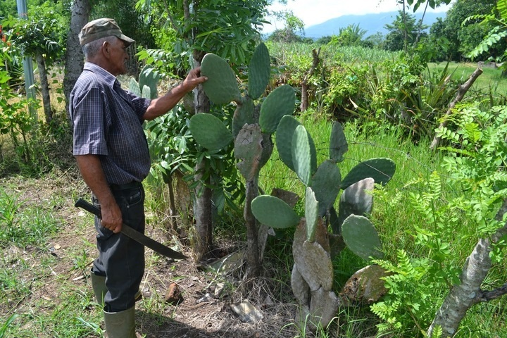 Entra Sembrando Vida a Nazas