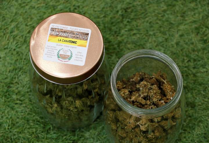 Disertarán sobre uso del cannabidiol en Durango