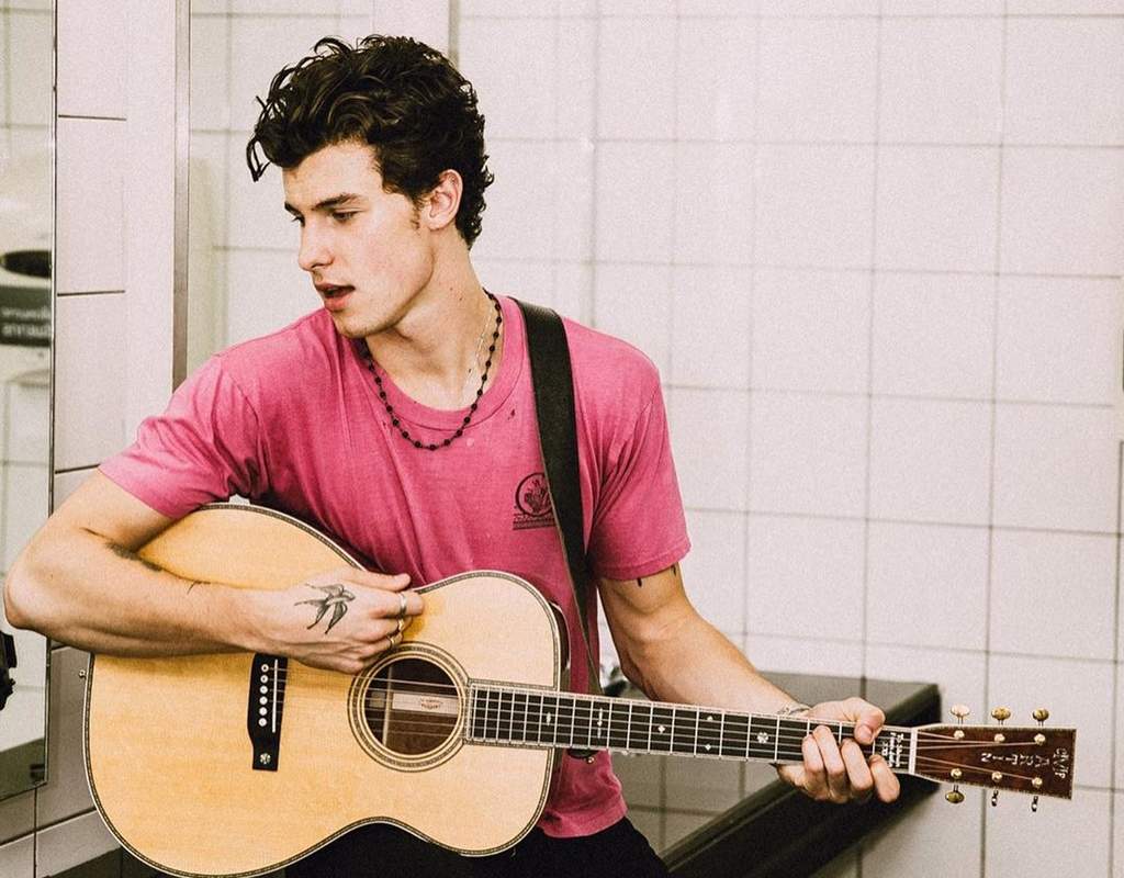 Shawn Mendes desprecia a fans mexicanos