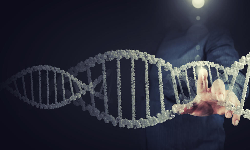 Extraen genoma humano a partir de un 'chicle' masticado hace 5,700 años