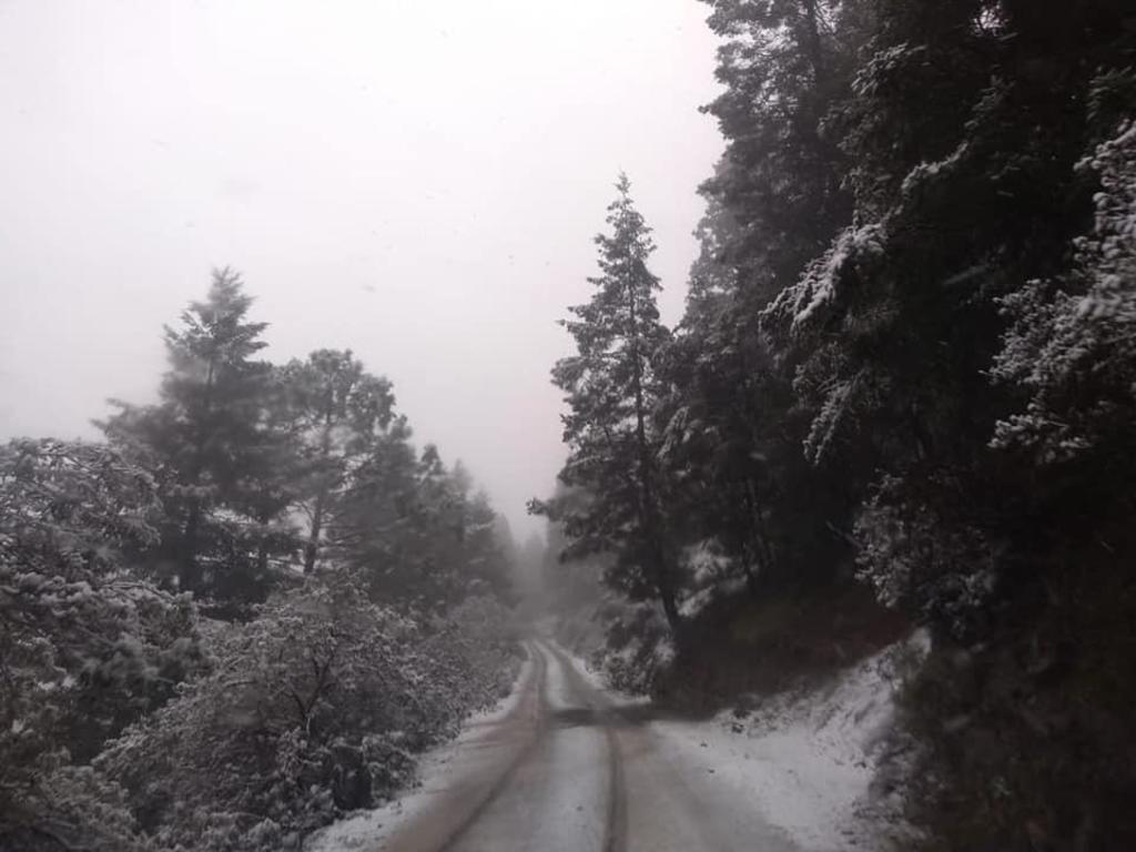 Se registran primeras nevadas en sur de Nuevo León