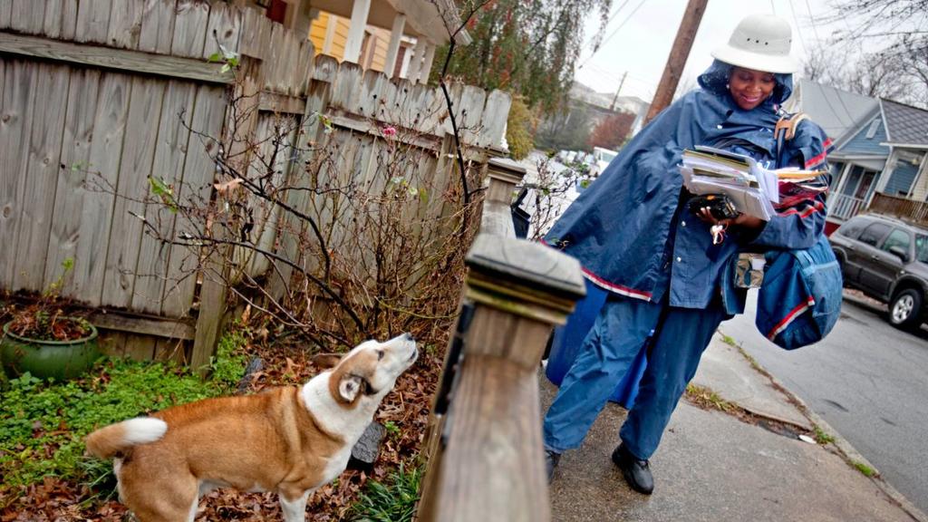 Perros, mayor amenaza para carteros que la delincuencia