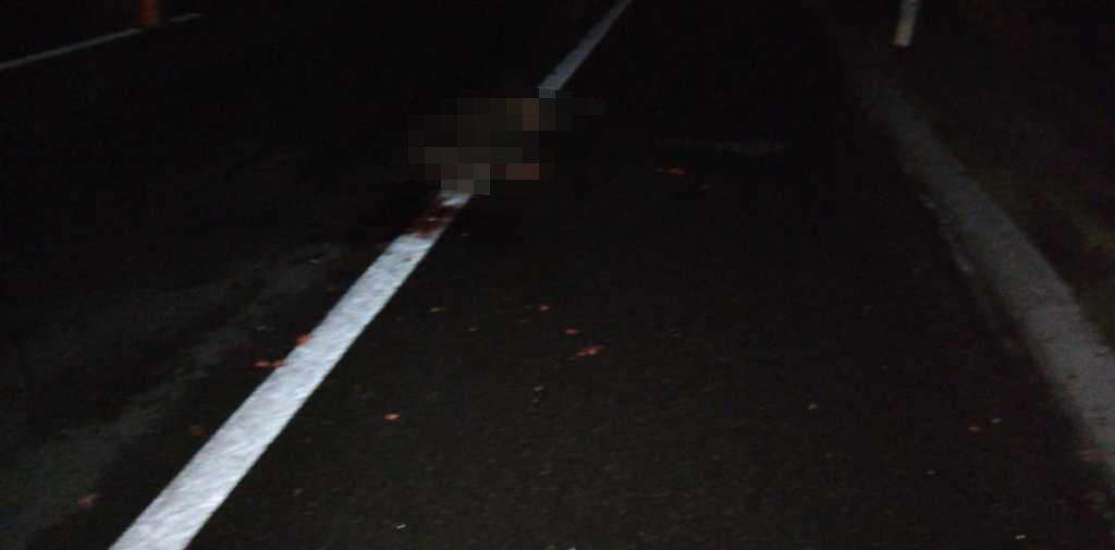 Abandonan cuerpo en carretera de Lerdo