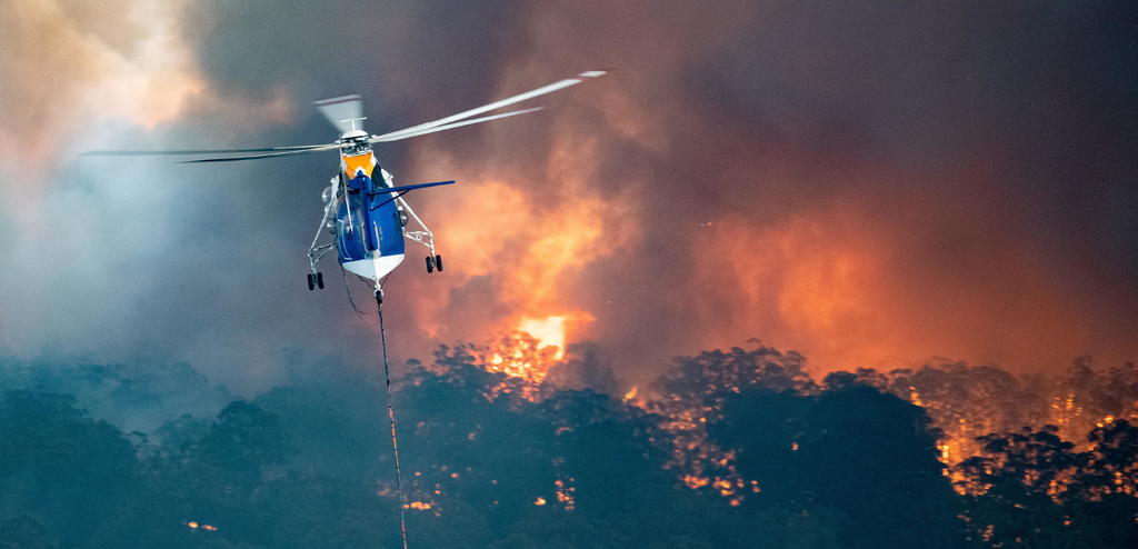 Pirogeografía, incendios bajo el microscopio