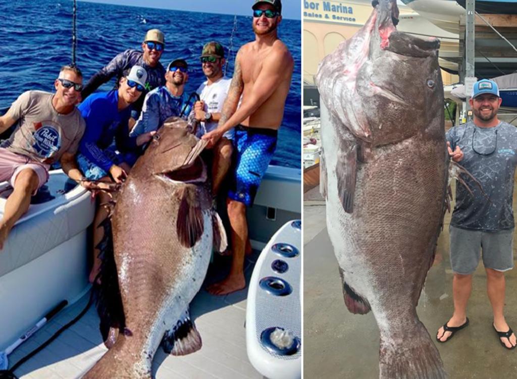 Enorme pez atrapado en Florida tenía 50 años