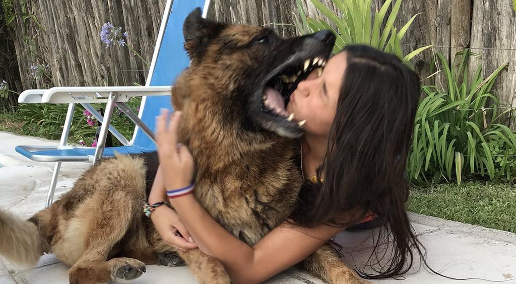 Sesión de fotos con su perro termina mal al ser atacada supuestamente por él