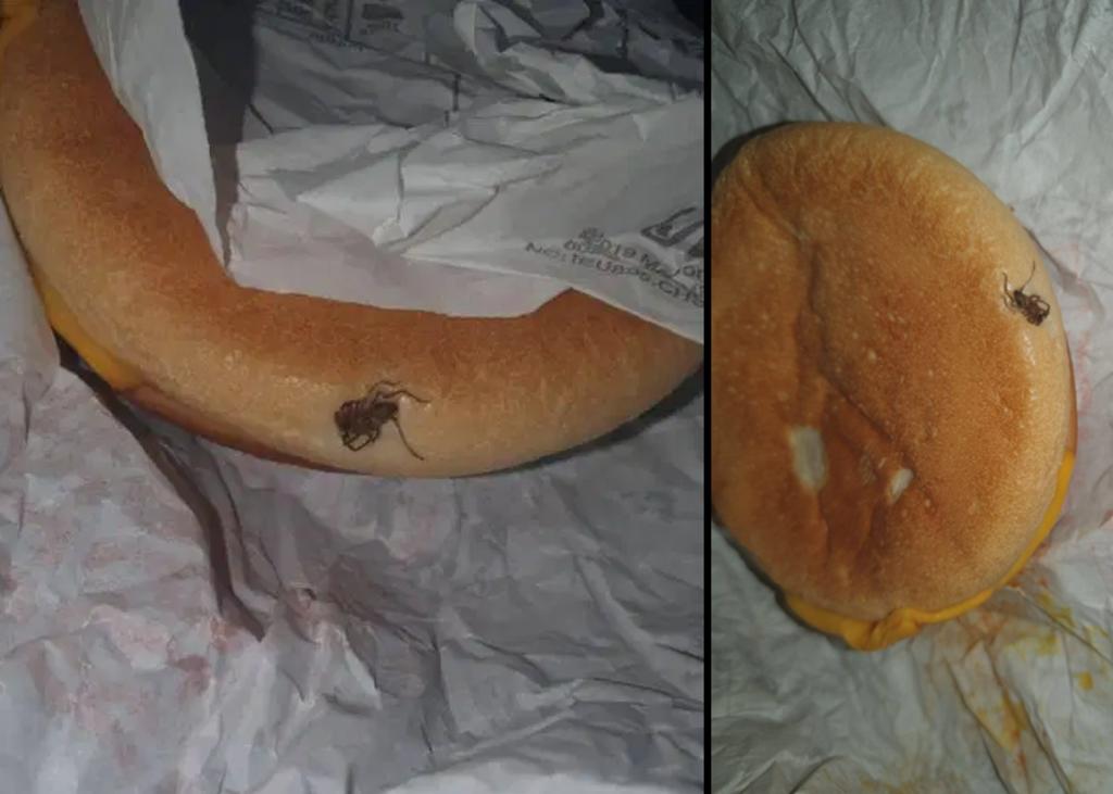 Mujer dice haber encontrado una araña en su hamburguesa