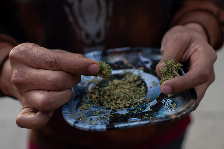Legalización de la cannabis sí va