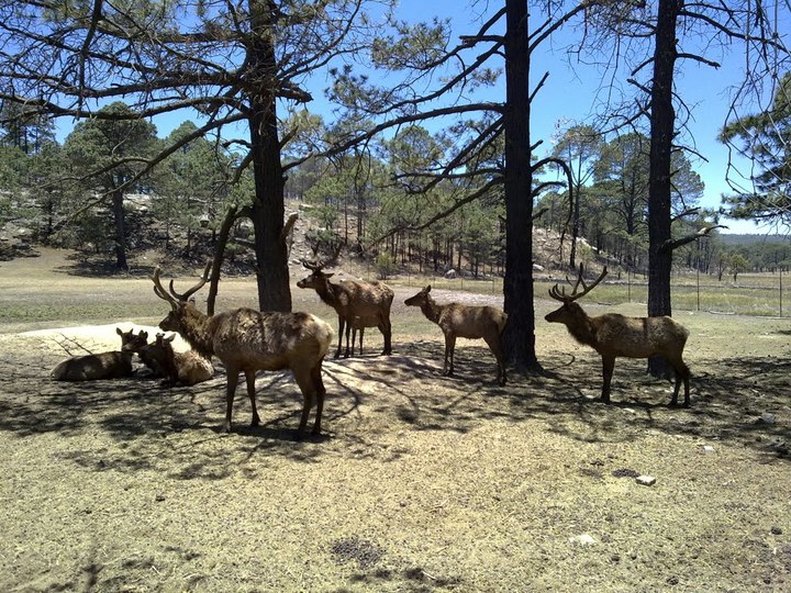 Parque El Tecuán abre sus puertas