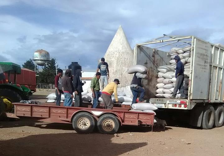 Piden un mejor precio por el frijol