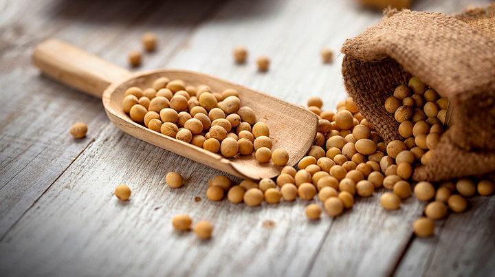 Contraindicaciones de la soya