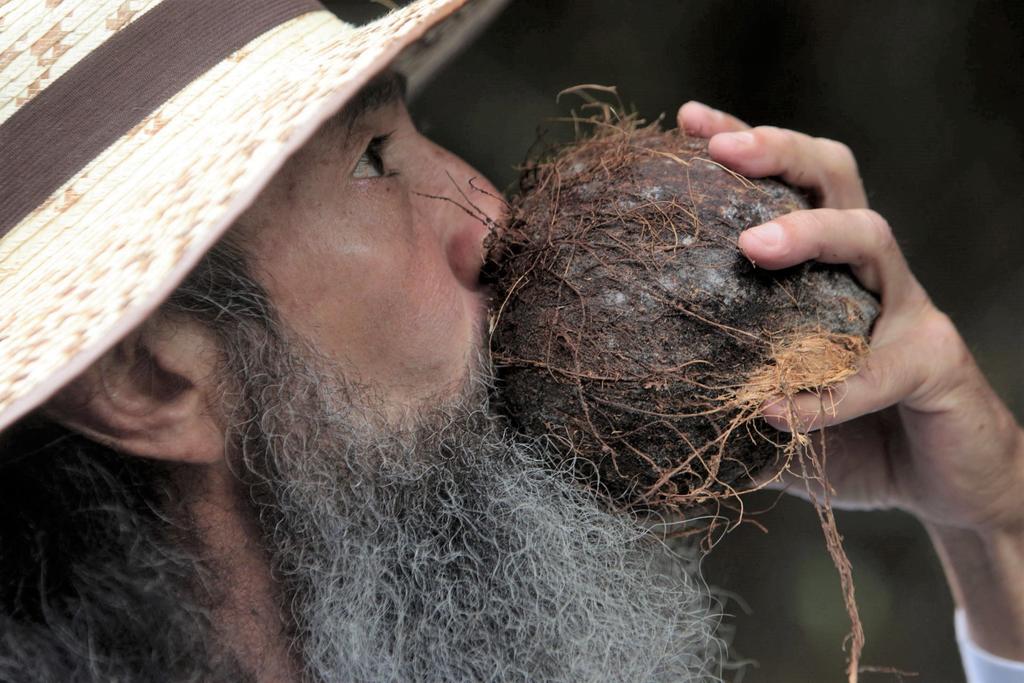 ¿Cuáles son los beneficios de beber agua de coco?