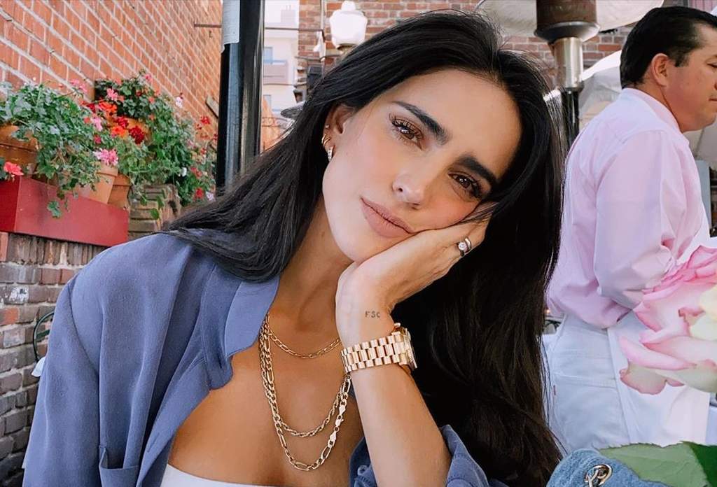 Exhiben supuestos malos tratos de Bárbara de Regil en redes