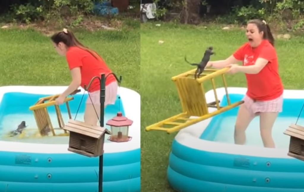VIRAL: Mujer intenta rescatar ardilla de alberca pero fracasa épicamente