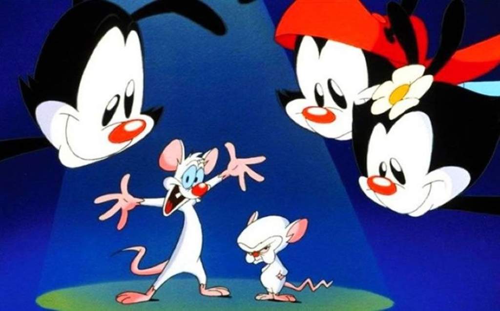 Regresan Animaniacs y Pinky y Cerebro a la TV mexicana
