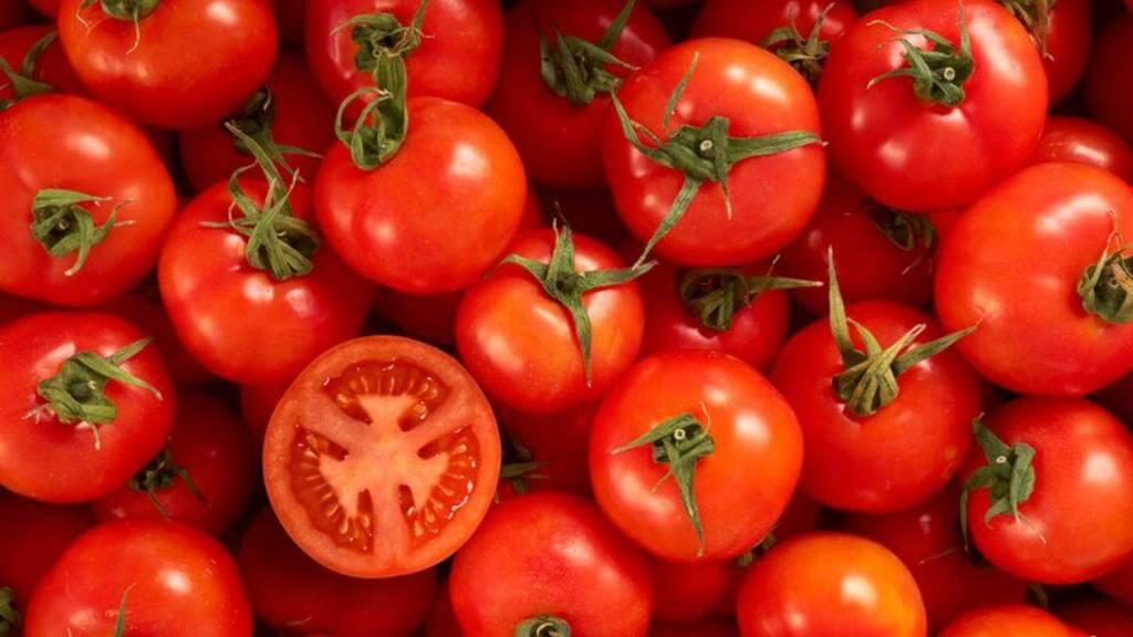 Mutaciones en el tomate podrían ayudar a crear nuevas variedades