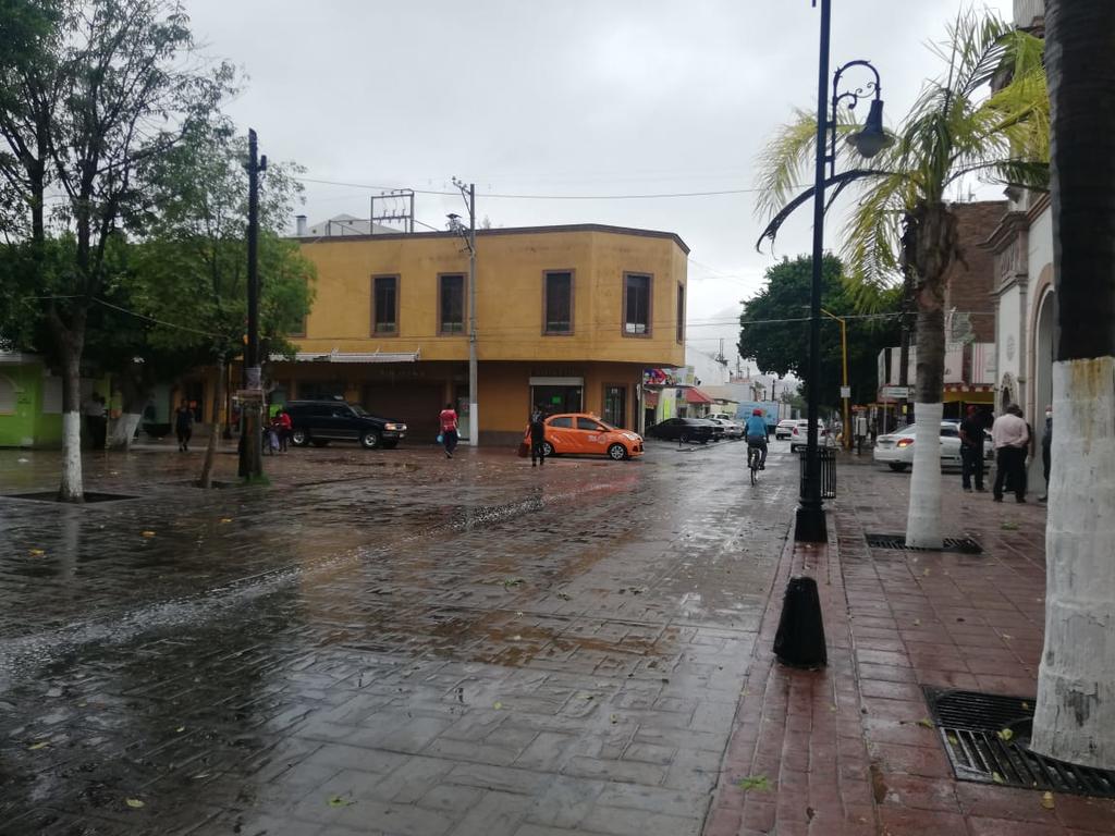 Tolvanera deja estragos en Ciudad Lerdo