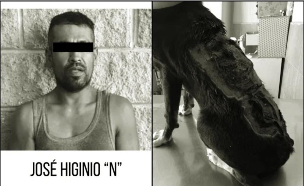 Cae presunto responsable de desollar y quemar vivo a perro en Sonora