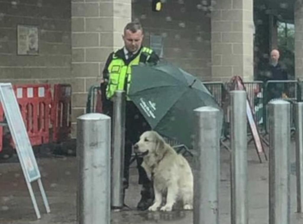 Guardia protege de la lluvia a Golden Retriever mientras espera a su dueño