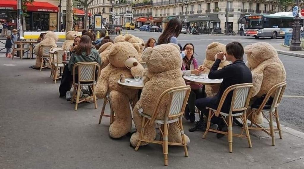 Utilizan osos de peluche en Francia para mantener el distanciamiento social