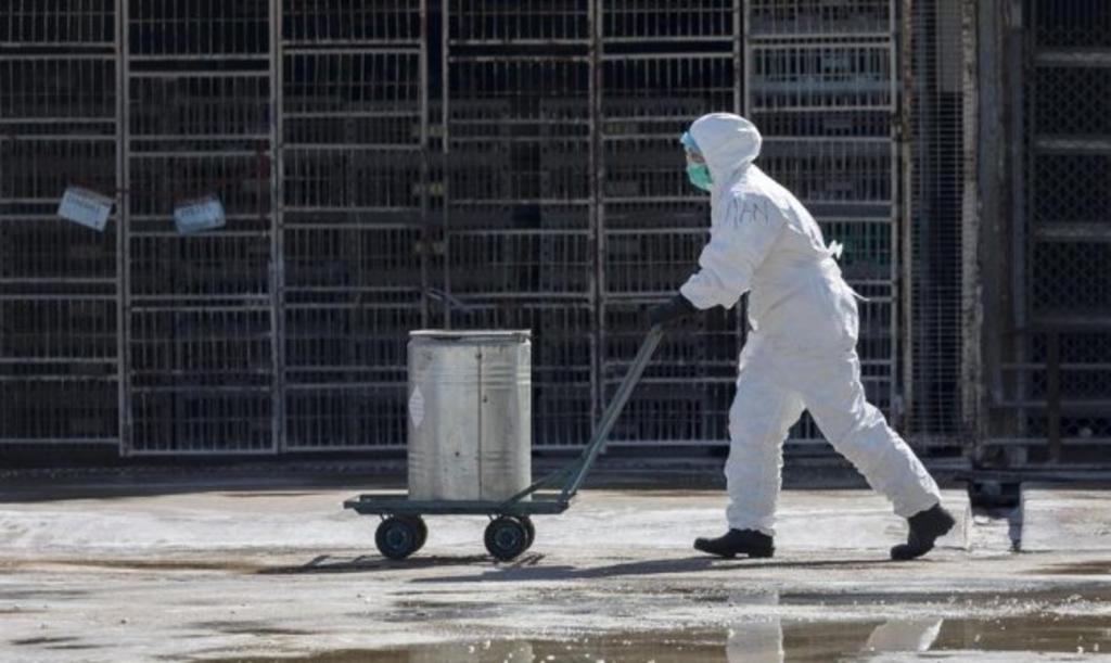Ciudad de China emite alerta sanitaria por posible caso de peste bubónica